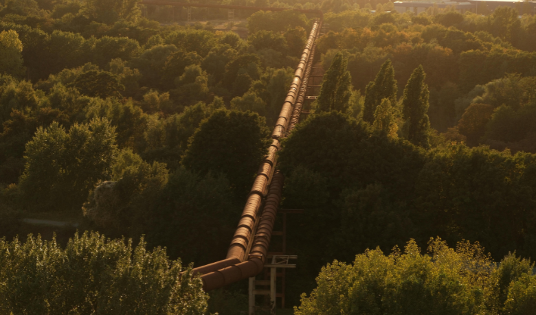 Enbridge contestou relatório de ONG sobre custos do gasoduto sob o Lago de Michigan, aponta Paulo Roberto Gomes Fernandes ao destacar a disputa técnica sobre o projeto.