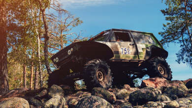 Felipe Schroeder dos Anjos